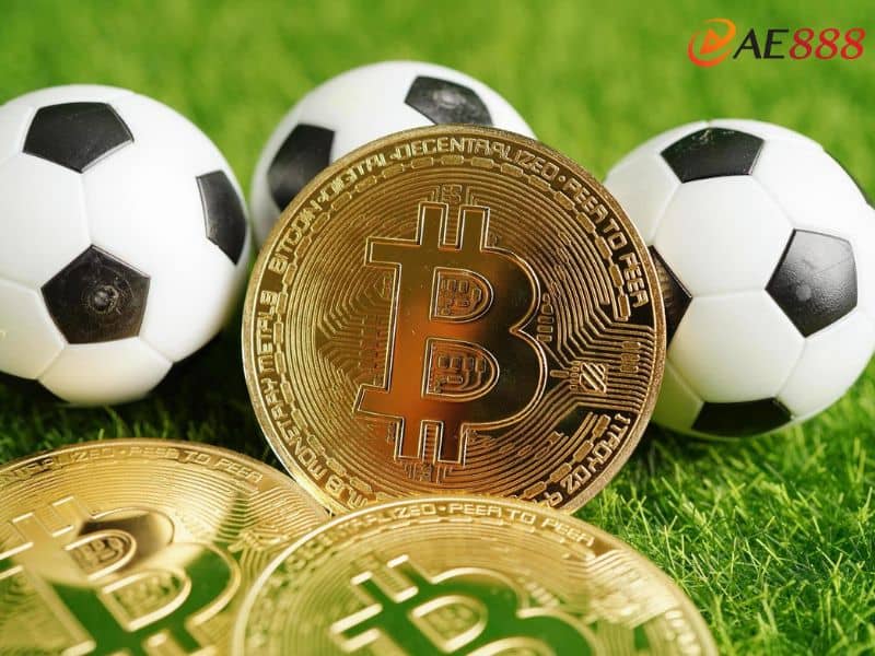 Anh em nên rung khi tỷ lệ từ 1 trái Anh em nên rung khi tỷ lệ từ 1 trái