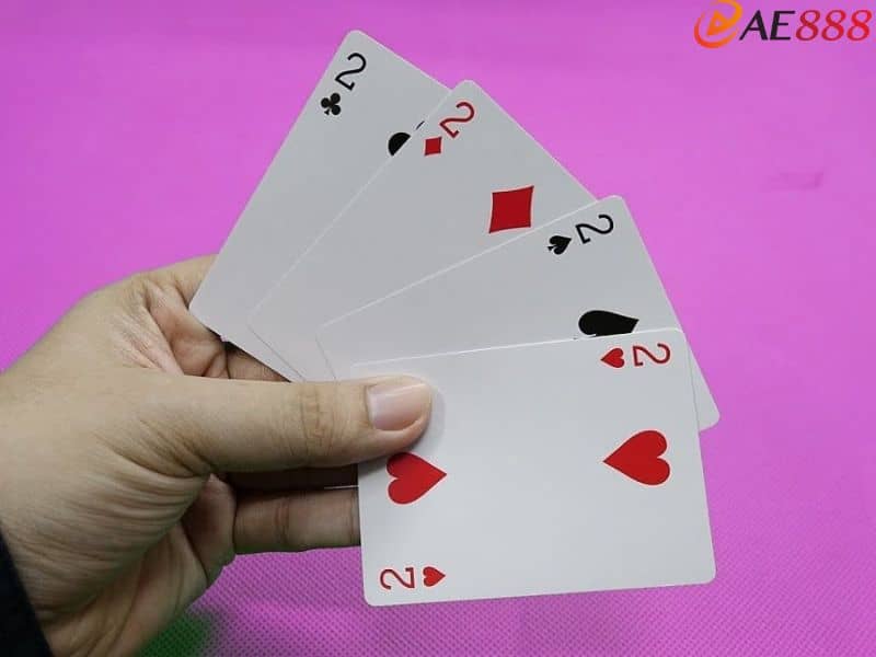 Tới trắng với tứ quý heo Tới trắng với tứ quý heo