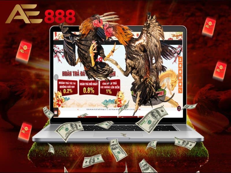 Đá gà trực tuyến là hình thức thi đấu giữa hai chiến kê và đặt cược online