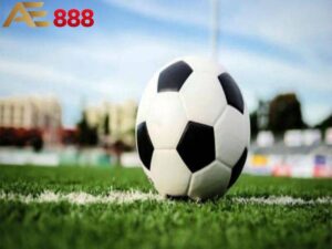 Tài xỉu 0.5 hay còn được gọi là kèo tài xỉu 1/2