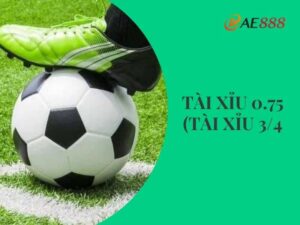 Tài xỉu 0.75
