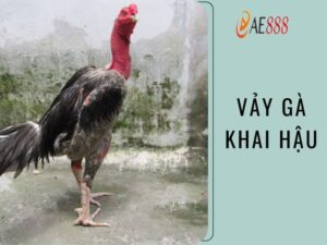 Vảy gà khai hậu